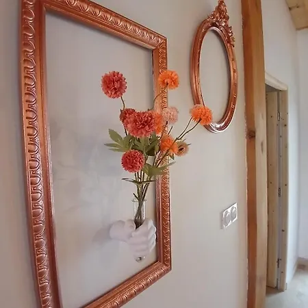 Maison Simone